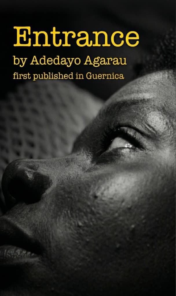 Adedayo Agarau - Entrance — cover